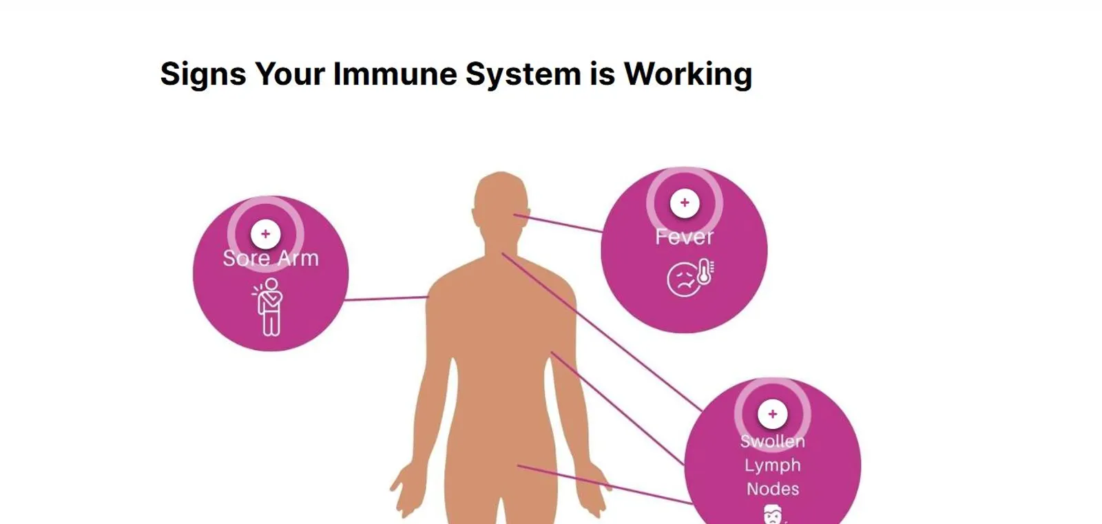 Labeled body diagram titled Signs Your Immune System is Working, with interactive markers for sore arm, fever, and swollen lymph nodes